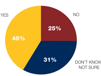 Pie chart to show percentages